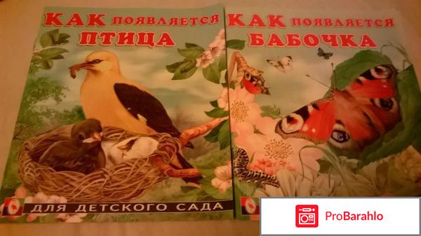 Книга  Как появляется птица обман