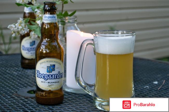 Hoegaarden wit blanche отрицательные отзывы