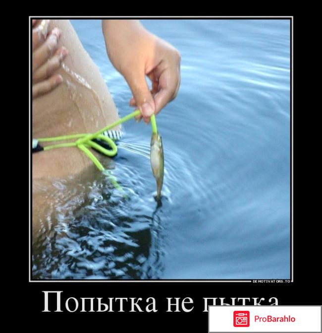 Значение поговорки 