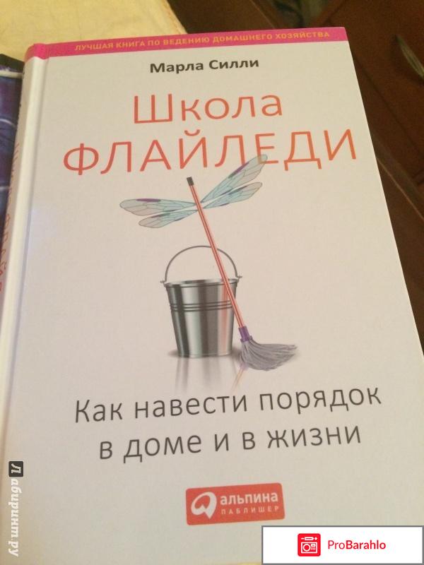 Книга  Школа Флайледи. Как навести порядок в доме и в жизни 