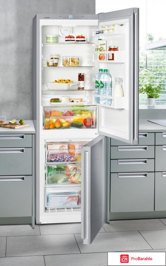 Двухкамерный холодильник Liebherr CNel 4213 обман