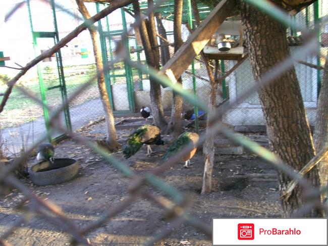 Омск политотдел отрицательные отзывы