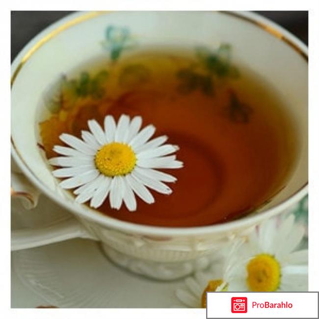 Осветление волос ромашкой отзывы реальные отзывы