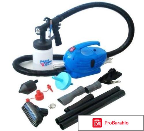 Пейнт зум отзывы владельцев