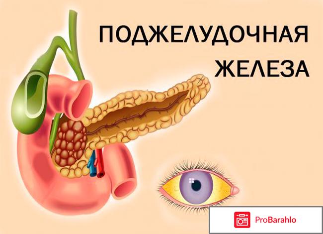 Видно ли на узи рак поджелудочной железы 