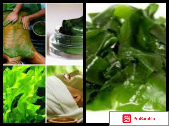 Альготерапия — Лечение морскими водорослями отрицательные отзывы