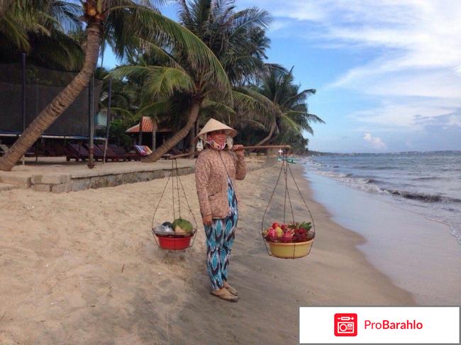 Вьетнам в декабре погода отзывы туристов отрицательные отзывы