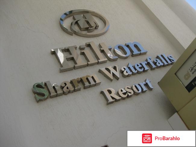 Hilton sharm waterfalls resort 