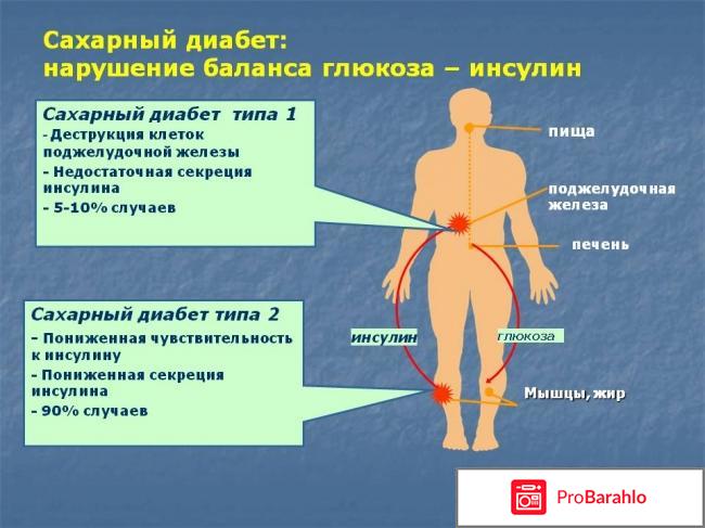 Диалайф отзывы владельцев