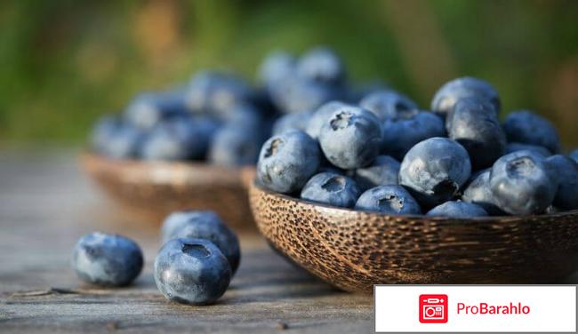 Голубитокс отрицательные отзывы обман