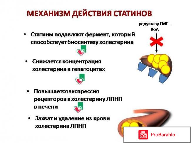 Тевастор инструкция по применению цена отзывы аналоги отрицательные отзывы