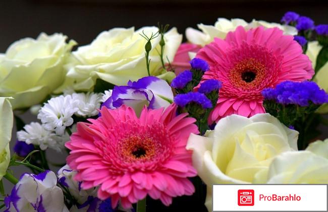 Самсунг галакси s7 edge отзывы отзывы владельцев