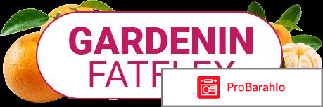 Gardenin fatflex для похудения фото