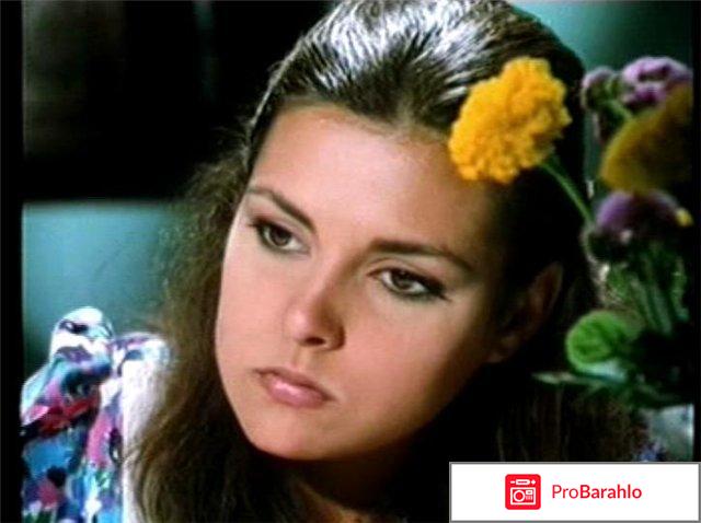 Королек - птичка певчая фото