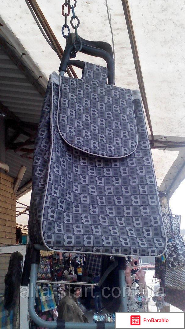 Сумка тележка хозяйственная отрицательные отзывы