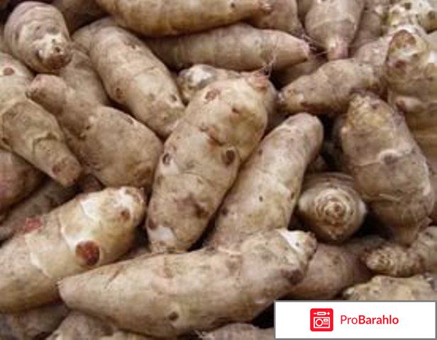 Атерол отрицательные отзывы обман