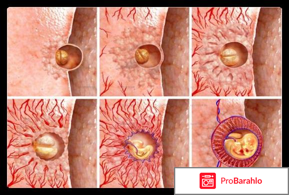 Признаки беременности после месячных отрицательные отзывы