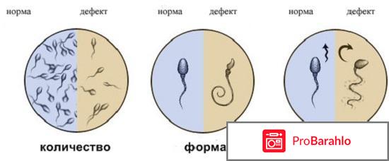 Шрейтон капсулы от (мужского беплодия). 