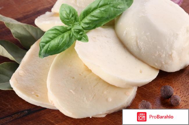 Сыр моцарелла 