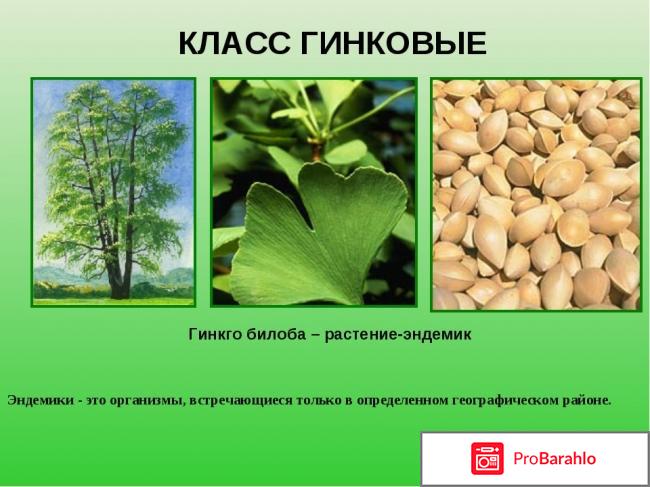 Гинкоум аналоги фото