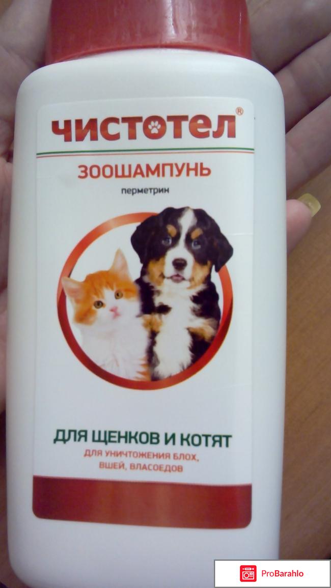 Шампунь Чистотел антипаразитный для кошек и собак 