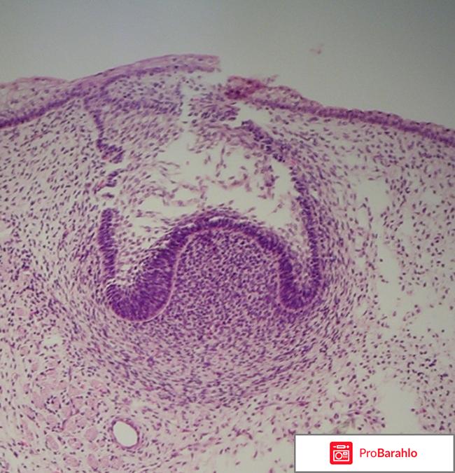 Юнидент отрицательные отзывы