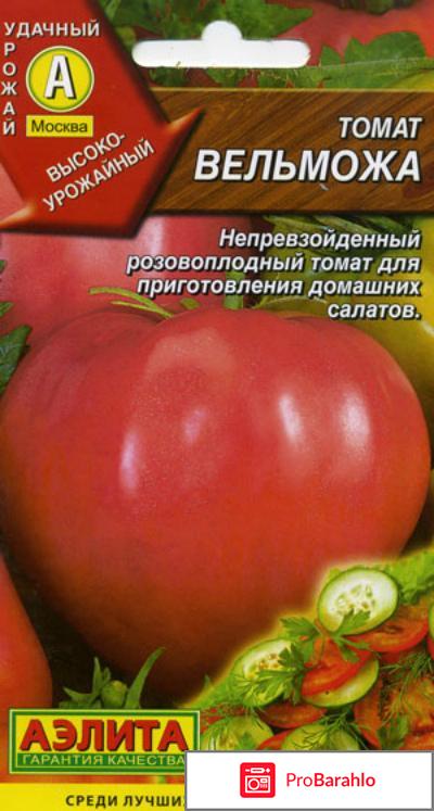 Сорт томата вельможа отзывы фото 