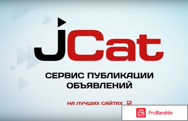 Jcat ru отзывы сотрудников 