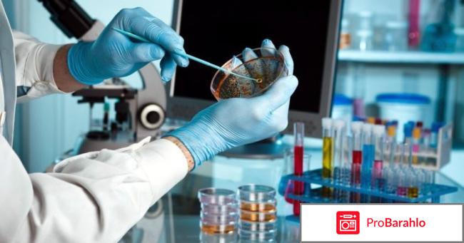 Папиловит (Papilovit) фото