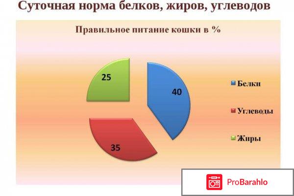 Чай жиросжигающий комплекс худеем за неделю отзывы слим стиль 