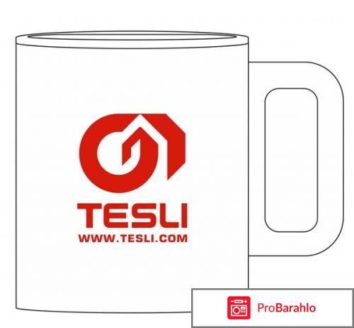 Тесли отзывы сотрудников