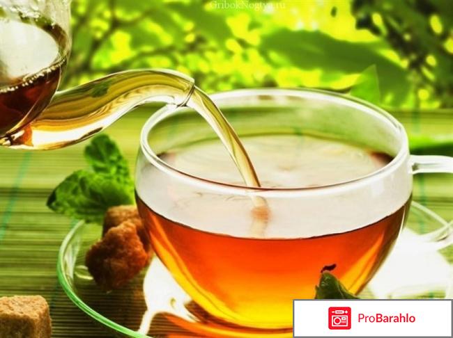 Как делать бодраший чай отрицательные отзывы