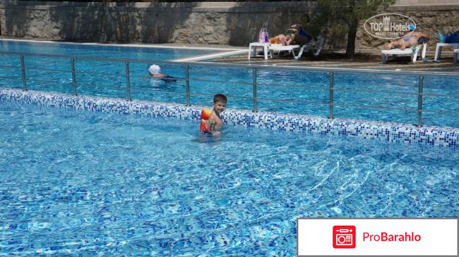 Ток судак отдыхающих 2017 обман