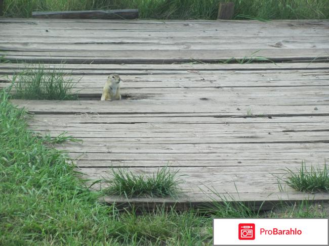 Озера Хакасии отрицательные отзывы