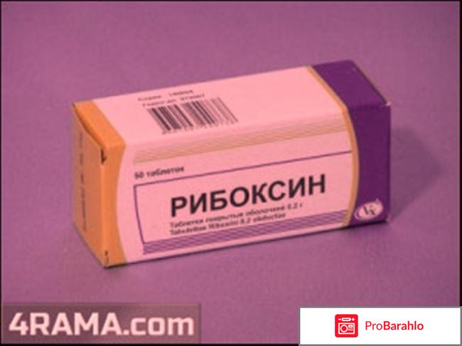 Рибоксин форум обман