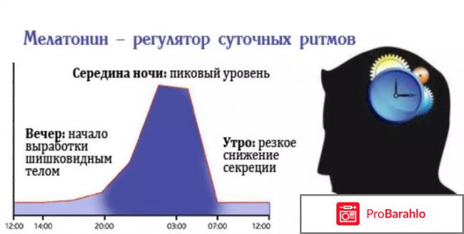 Мелатонин инструкция по применению цена аналоги отрицательные отзывы