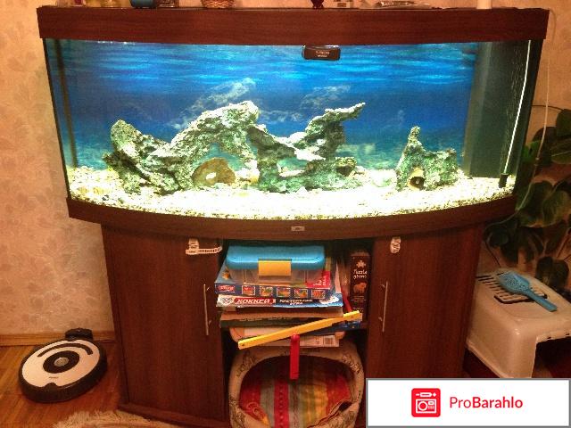 Аквариумы juwel 