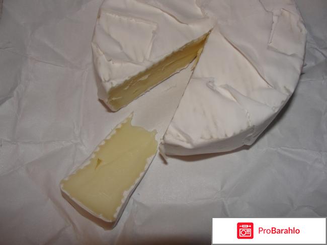 Сыр мягкий Natural Camambert Mlekovita обман