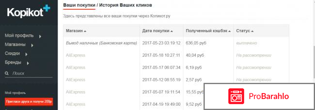 Сайт kopikot.ru для возврата денег от покупок обман