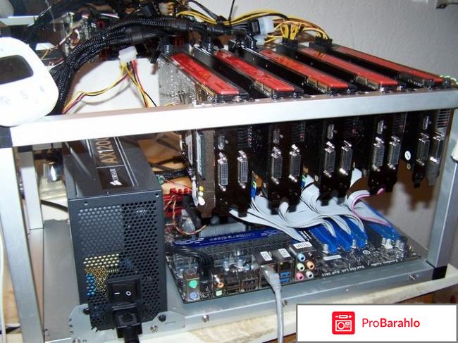 Отзывы bitmark ru отрицательные отзывы