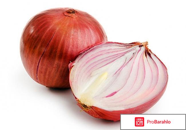 Лечение суставов народными средствами в домашних условиях фото