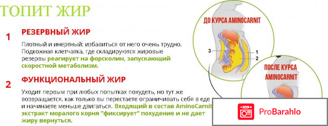 Аминокарнит обман