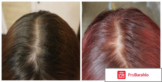 Краска для волос SYOSS Gloss sensation отзывы владельцев