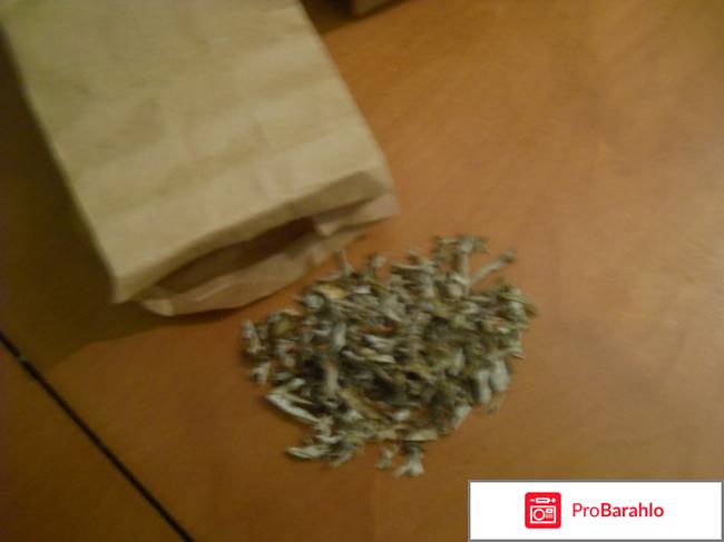 Исландский мох (народная медицина) отрицательные отзывы