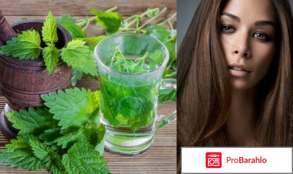 Крапива для волос отзывы 