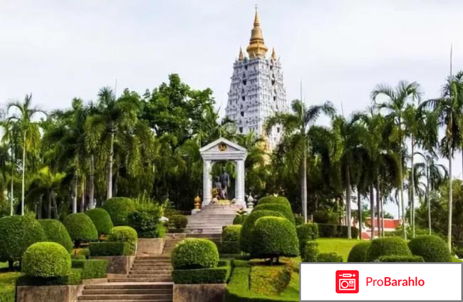 Экскурсии в паттайе 2017 отзывы туристов фото