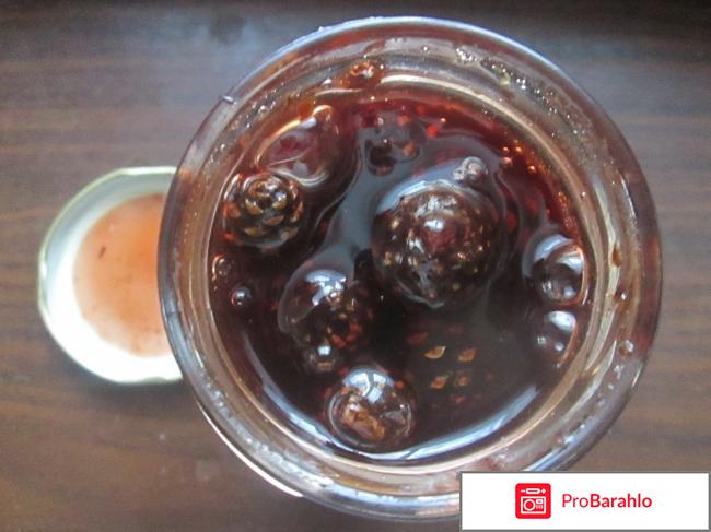 Варенье из сосновых шишек 