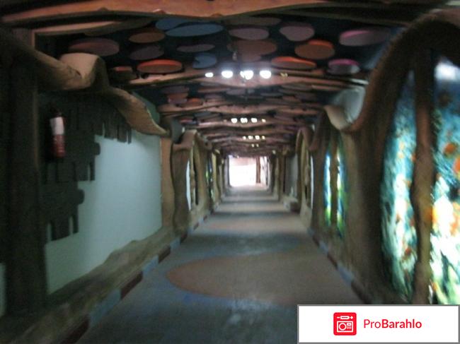 Рехана шарм резорт обман