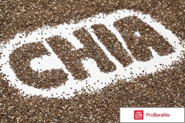 Семена чиа полезные свойства обман