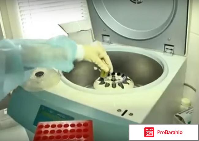 Генетический паспорт реальные отзывы